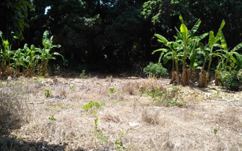 Land in Beau Bassin - Centrally Located 