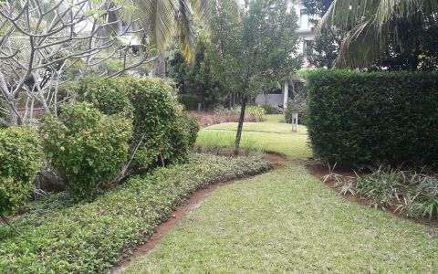 Duplex in Azuri - 'Let's have a look' 